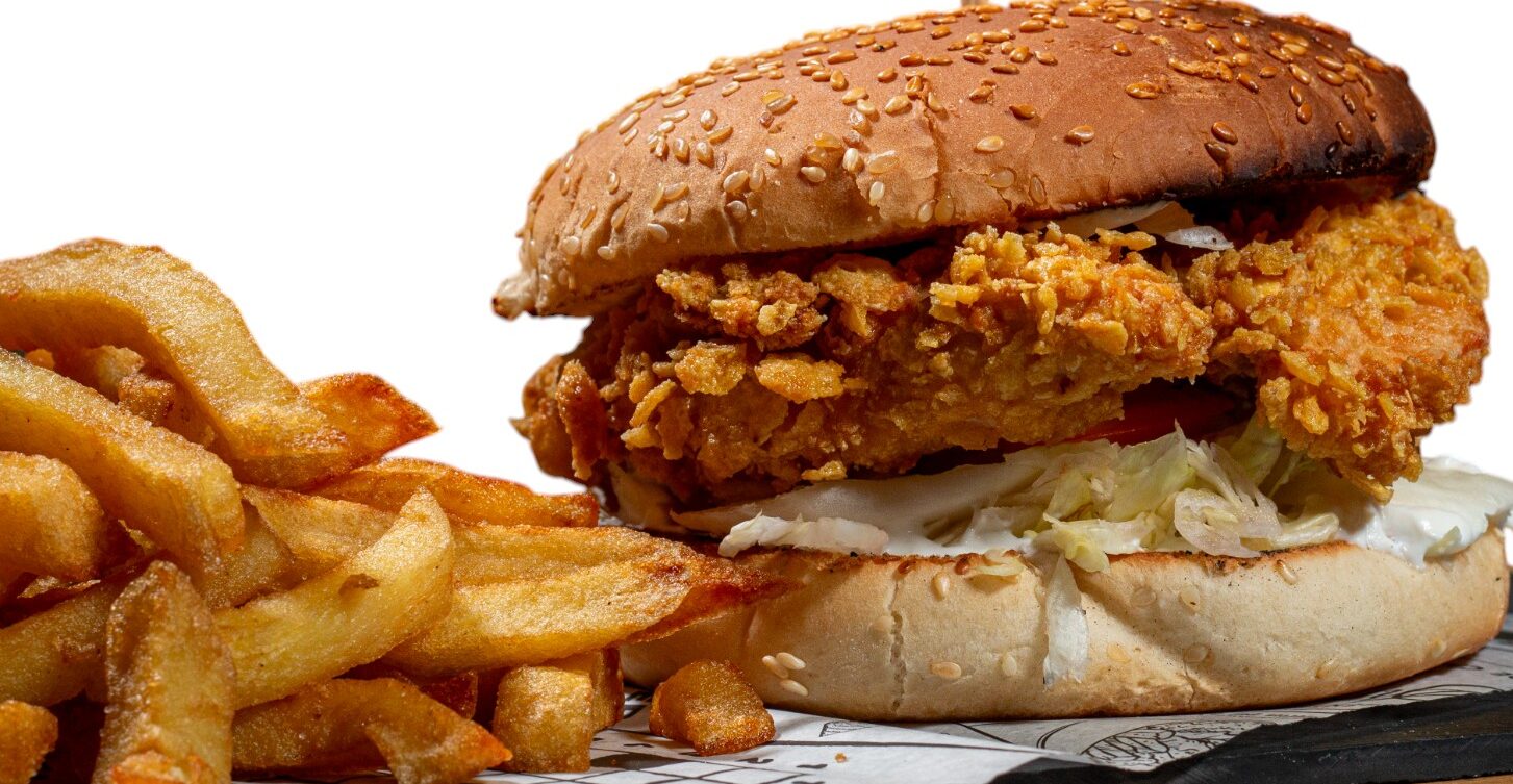 BURGER PUI + CARTOFI